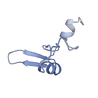 30432_7cpu_LW_v1-0
Cryo-EM structure of 80S ribosome from mouse kidney