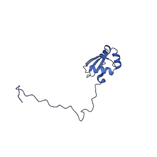 30432_7cpu_LX_v1-0
Cryo-EM structure of 80S ribosome from mouse kidney