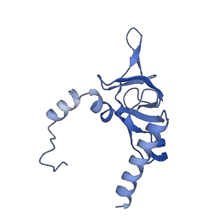 30432_7cpu_LY_v1-0
Cryo-EM structure of 80S ribosome from mouse kidney