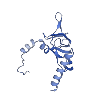 30432_7cpu_LY_v2-2
Cryo-EM structure of 80S ribosome from mouse kidney