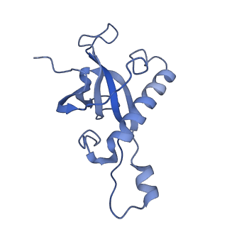 30432_7cpu_LZ_v1-0
Cryo-EM structure of 80S ribosome from mouse kidney