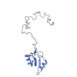 30432_7cpu_La_v1-0
Cryo-EM structure of 80S ribosome from mouse kidney