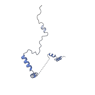 30432_7cpu_Lb_v1-0
Cryo-EM structure of 80S ribosome from mouse kidney