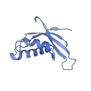 30432_7cpu_Ld_v1-0
Cryo-EM structure of 80S ribosome from mouse kidney