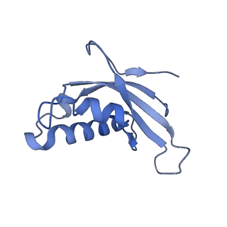 30432_7cpu_Ld_v2-2
Cryo-EM structure of 80S ribosome from mouse kidney