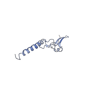 30432_7cpu_Lg_v1-0
Cryo-EM structure of 80S ribosome from mouse kidney