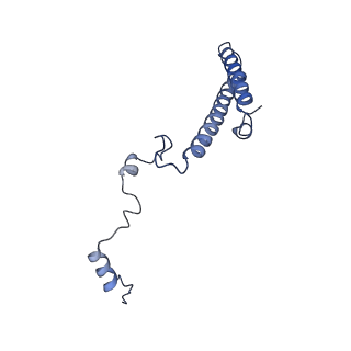30432_7cpu_Lh_v1-0
Cryo-EM structure of 80S ribosome from mouse kidney