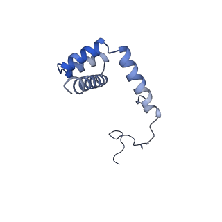30432_7cpu_Li_v1-0
Cryo-EM structure of 80S ribosome from mouse kidney