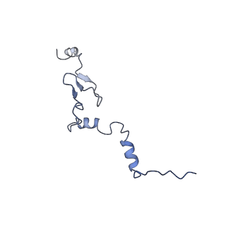 30432_7cpu_Lj_v1-0
Cryo-EM structure of 80S ribosome from mouse kidney