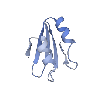 30432_7cpu_Lk_v1-0
Cryo-EM structure of 80S ribosome from mouse kidney