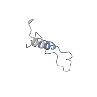 30432_7cpu_Ll_v2-2
Cryo-EM structure of 80S ribosome from mouse kidney