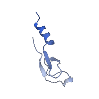 30432_7cpu_Lm_v1-0
Cryo-EM structure of 80S ribosome from mouse kidney
