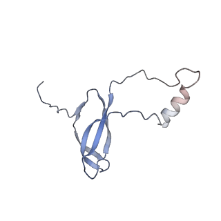 30432_7cpu_Lo_v1-0
Cryo-EM structure of 80S ribosome from mouse kidney