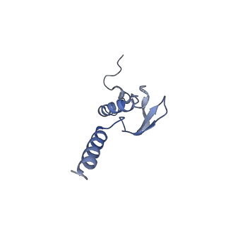 30432_7cpu_Lp_v1-0
Cryo-EM structure of 80S ribosome from mouse kidney
