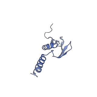 30432_7cpu_Lp_v2-2
Cryo-EM structure of 80S ribosome from mouse kidney