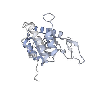 30432_7cpu_SA_v1-0
Cryo-EM structure of 80S ribosome from mouse kidney