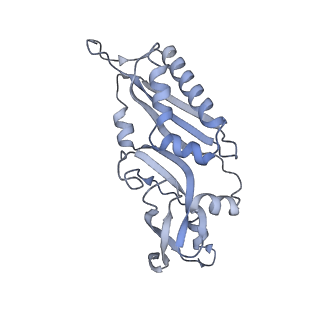 30432_7cpu_SB_v1-0
Cryo-EM structure of 80S ribosome from mouse kidney