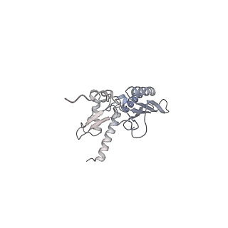 30432_7cpu_SD_v1-0
Cryo-EM structure of 80S ribosome from mouse kidney