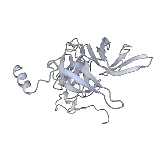 30432_7cpu_SE_v1-0
Cryo-EM structure of 80S ribosome from mouse kidney