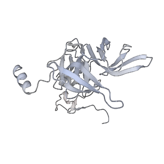 30432_7cpu_SE_v2-2
Cryo-EM structure of 80S ribosome from mouse kidney