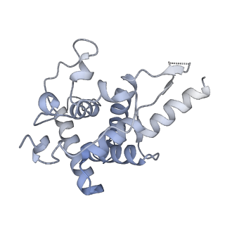 30432_7cpu_SF_v1-0
Cryo-EM structure of 80S ribosome from mouse kidney
