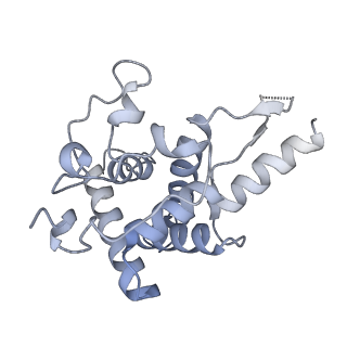 30432_7cpu_SF_v2-2
Cryo-EM structure of 80S ribosome from mouse kidney