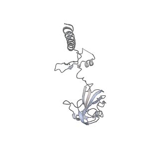 30432_7cpu_SG_v1-0
Cryo-EM structure of 80S ribosome from mouse kidney