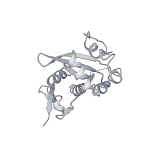 30432_7cpu_SH_v1-0
Cryo-EM structure of 80S ribosome from mouse kidney