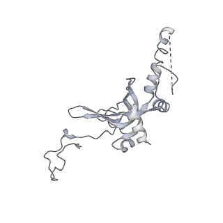 30432_7cpu_SI_v1-0
Cryo-EM structure of 80S ribosome from mouse kidney