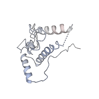30432_7cpu_SJ_v1-0
Cryo-EM structure of 80S ribosome from mouse kidney