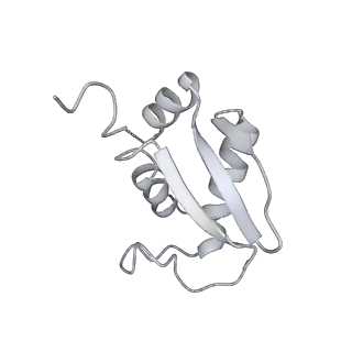 30432_7cpu_SK_v1-0
Cryo-EM structure of 80S ribosome from mouse kidney