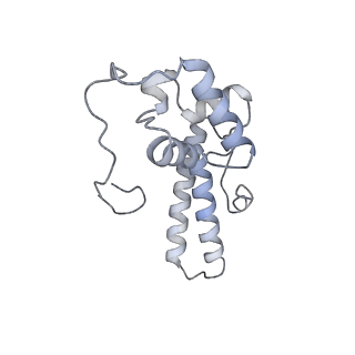 30432_7cpu_SN_v1-0
Cryo-EM structure of 80S ribosome from mouse kidney