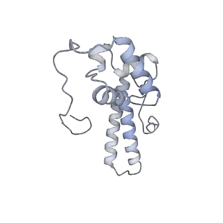 30432_7cpu_SN_v2-2
Cryo-EM structure of 80S ribosome from mouse kidney