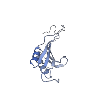 30432_7cpu_SO_v1-0
Cryo-EM structure of 80S ribosome from mouse kidney