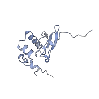 30432_7cpu_SP_v1-0
Cryo-EM structure of 80S ribosome from mouse kidney