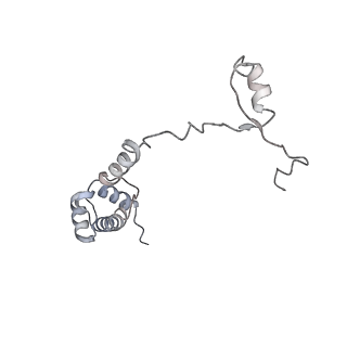 30432_7cpu_SR_v1-0
Cryo-EM structure of 80S ribosome from mouse kidney