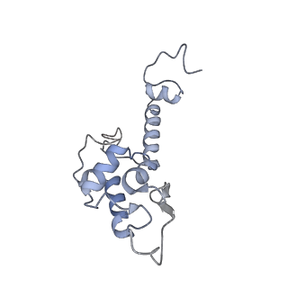 30432_7cpu_SS_v1-0
Cryo-EM structure of 80S ribosome from mouse kidney