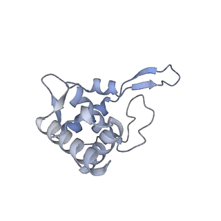 30432_7cpu_ST_v2-2
Cryo-EM structure of 80S ribosome from mouse kidney