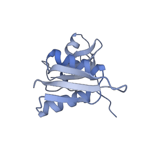 30432_7cpu_SW_v1-0
Cryo-EM structure of 80S ribosome from mouse kidney