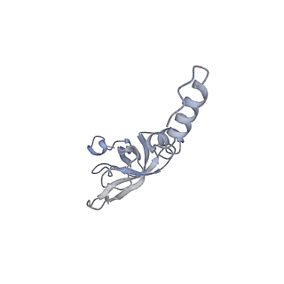 30432_7cpu_SX_v1-0
Cryo-EM structure of 80S ribosome from mouse kidney