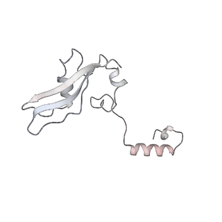 30432_7cpu_SY_v1-0
Cryo-EM structure of 80S ribosome from mouse kidney