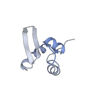 30432_7cpu_SZ_v1-0
Cryo-EM structure of 80S ribosome from mouse kidney