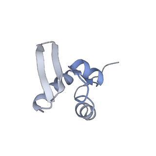 30432_7cpu_SZ_v2-2
Cryo-EM structure of 80S ribosome from mouse kidney