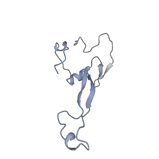 30432_7cpu_Sa_v1-0
Cryo-EM structure of 80S ribosome from mouse kidney