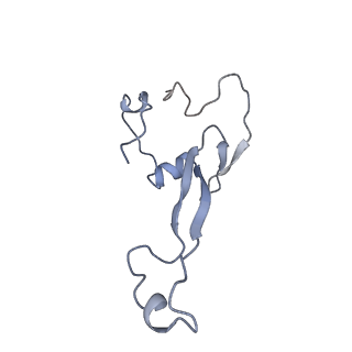 30432_7cpu_Sa_v2-2
Cryo-EM structure of 80S ribosome from mouse kidney