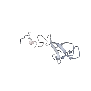 30432_7cpu_Sb_v1-0
Cryo-EM structure of 80S ribosome from mouse kidney