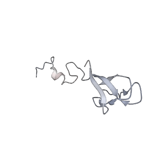 30432_7cpu_Sb_v2-2
Cryo-EM structure of 80S ribosome from mouse kidney