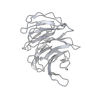 30432_7cpu_Sg_v1-0
Cryo-EM structure of 80S ribosome from mouse kidney