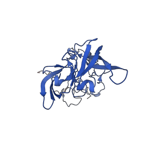 30433_7cpv_LA_v1-2
Cryo-EM structure of 80S ribosome from mouse testis