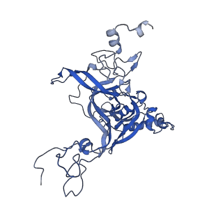 30433_7cpv_LB_v1-2
Cryo-EM structure of 80S ribosome from mouse testis